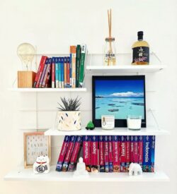Regale Wands Gassien Paris weißs Schreibtisch cosy Bücher voyage Pflanze déco bouteille japonaise.