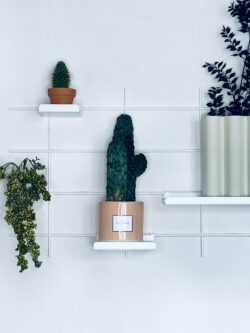 Wandregal Gassien Paris weiß mit cactus und Pflanzen vertes, Atmosphäre Schreibtisch minimalistisch skandinavisch.