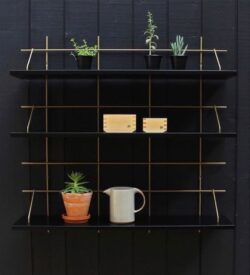 Regale Wands Gassien Paris en Messing und Holz noir, Atmosphäre mur de couleurs mit Pflanzen und céramiques.