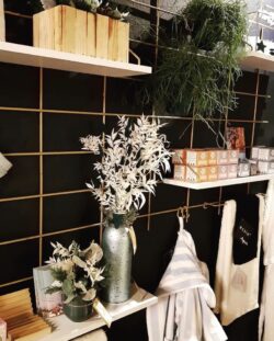 Modulare Regale Gassien Paris en Messing sur mur noir, décoration végétale und accessoires lifestyle tendance.