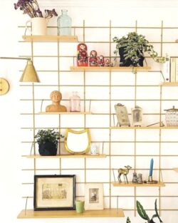 Wohnzimmer modulable Gassien Paris, Regale Holz und Messing mit décorations vintage und Pflanzen vertes.