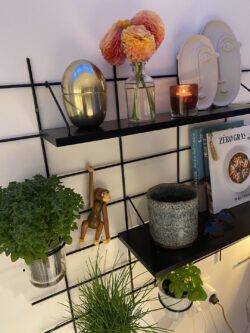 Wandregal Gassien Paris noire en Wohnzimmer, décorée de Pflanzen, bougies und Bücher de Küche.