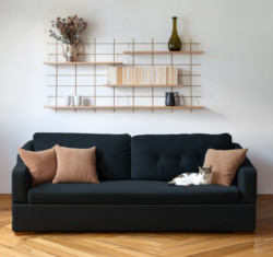 Wohnzimmer minimalistisch Gassien Paris mit Regale aus Holz, canapé noir und chat weiß relaxant.