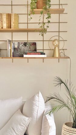 Wohnzimmer skandinavisch mit Regale Wands Holz und Messing Gassien Paris, Pflanzen und Bücher vintage.