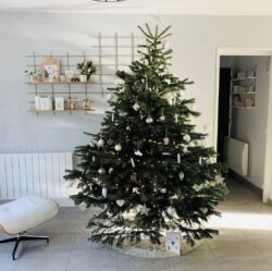 Wohnzimmer de Noël épuré mit Regale Gassien Paris aus Holz und Messing, Atmosphäre skandinavisch weiß.