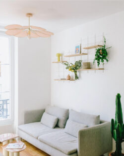 Helles Wohnzimmer mit Regale Gassien Paris aus Holz und Mundall weiß, Pflanzen und déco pastel.