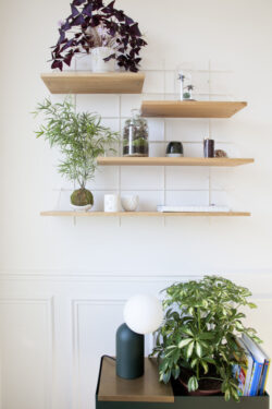 Regale Wands Gassien Paris en Eiche massif und Mundall weiß décorées de Pflanzen in un Helles Wohnzimmer.