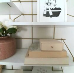 Regal Wohnzimmer Gassien Paris en Messing und weiß, décoration lifestyle minimalistisch mit vase rose und Bücher.