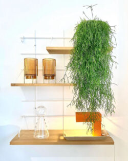 Regale Wands Gassien Paris en Eiche massif und Mundall weiß, décoration végétale suspendue, Atmosphäre natürlich.