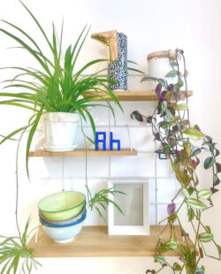 Regale Gassien Paris aus Holz Naturl décorées de Pflanzen vertes tropicales für une Atmosphäre végétale apaisante.
