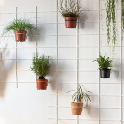 Pflanzenwand Gassien Paris mit Pflanzen suspendues sur grille weiß, Atmosphäre Natur apaisante.