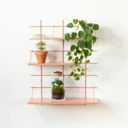 Wandregal Gassien Paris terracotta vegundal mit Pflanzen vertes, terrarium und poterie sur fond weiß.