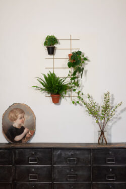 Décoration végétale Gassien Paris mit grille Messing Wand, Pflanzen vertes und meuble vintage noir.