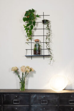 Regal végétale Gassien Paris schwarzem Mundall mit Pflanzen vertes und terrarium, Atmosphäre Natur urbaine.