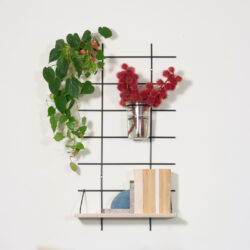 Wandregal Gassien Paris schwarzem Mundall und Holz, décoration végétale mit Pflanzen und Blumen rouges.