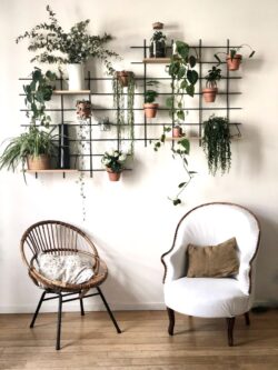 Wohnzimmer végétal Gassien Paris mit Regale schwarzem Mundall, Holz und Pflanzen vertes suspendues, Atmosphäre bohème.