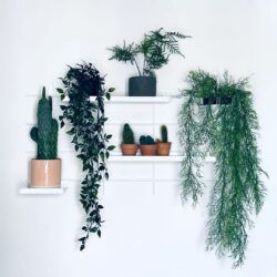 Modulare Regale weißs Gassien Paris décorées de Pflanzen vertes tropicales für un intérieur végétal apaisant.
