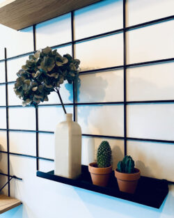 Regal schwarzem Mundall Gassien Paris mit vase, cactus und décoration végétale tendance skandinavisch.