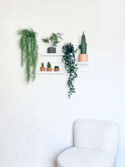 Regale Wands weißs Gassien Paris mit Pflanzen vertes, Atmosphäre végétale épurée und fauteuil bouclundte weiß.