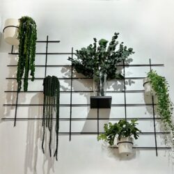 Pflanzenwand Gassien Paris mit grille noire und pots suspendus Pflanzen vertes Atmosphäre Natur moderne.