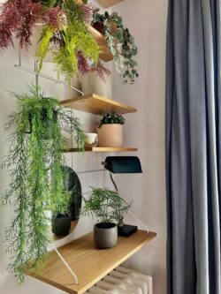 Regale Wands Gassien Paris en Eiche, Atmosphäre végétale luxuriante mit Pflanzen suspendues und miroir rond.